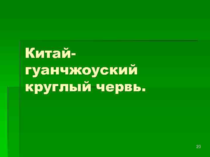 Китайгуанчжоуский круглый червь. 20 