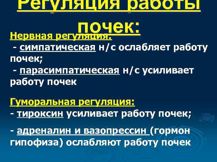 Регуляция работы почек: Нервная регуляция: - симпатическая н/с ослабляет работу почек; - парасимпатическая н/с