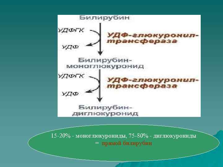 15 -20% - моноглюкурониды, 75 -80% - диглюкурониды = прямой билирубин 