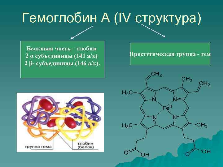 Состав гемоглобина. Биохимия простетическая группа гемоглобина. Гемоглобин гем биохимия строение. Строение гема гемоглобина. Структурная формула белка гемоглобина.