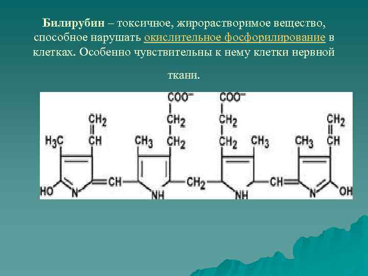 Билирубин – токсичное, жирорастворимое вещество, способное нарушать окислительное фосфорилирование в клетках. Особенно чувствительны к