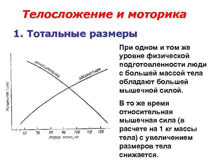 Телосложение и моторика 1. Тотальные размеры При одном и том же уровне физической подготовленности