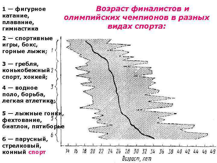 1 — фигурное катание, плавание, гимнастика финалистов и олимпийских чемпионов в разных видах спорта: