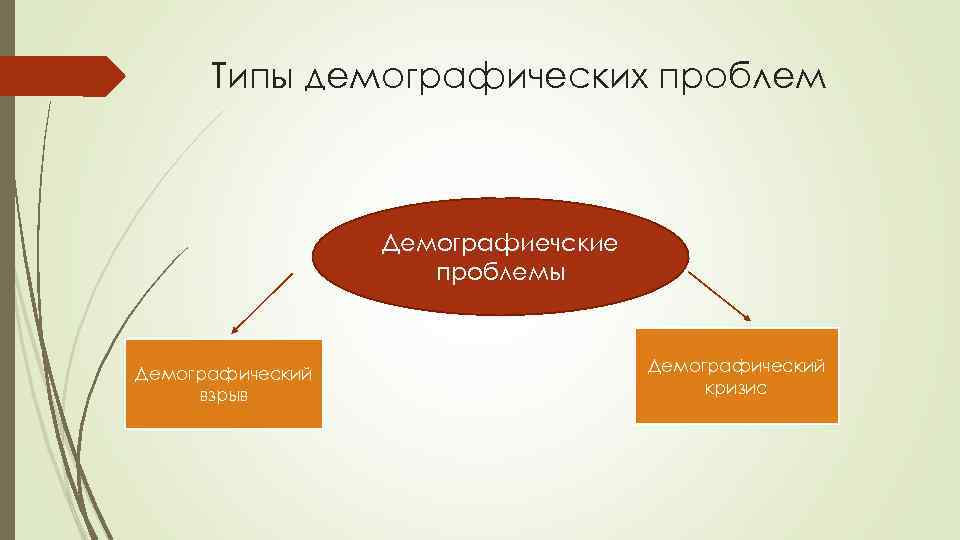 Виды демографической информации