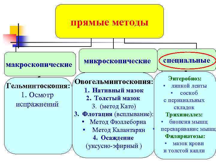 прямые методы макроскопические Гельминтоскопия: 1. Осмотр испражнений микроскопические специальные Энтеробиоз: • липкой ленты 1.