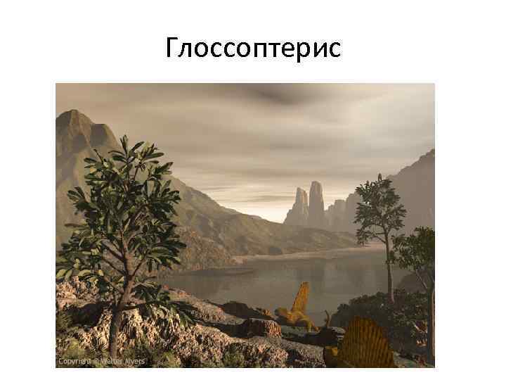 Глоссоптерис 