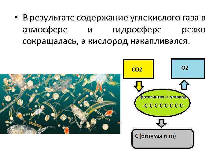 Углекислый газ в гидросфере. Потребление углекислого газа человеком.