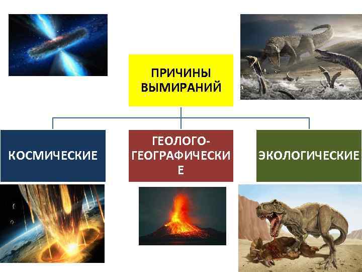 ПРИЧИНЫ ВЫМИРАНИЙ КОСМИЧЕСКИЕ ГЕОЛОГОГЕОГРАФИЧЕСКИ Е ЭКОЛОГИЧЕСКИЕ 