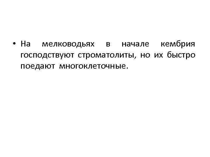  • На мелководьях в начале кембрия господствуют строматолиты, но их быстро поедают многоклеточные.