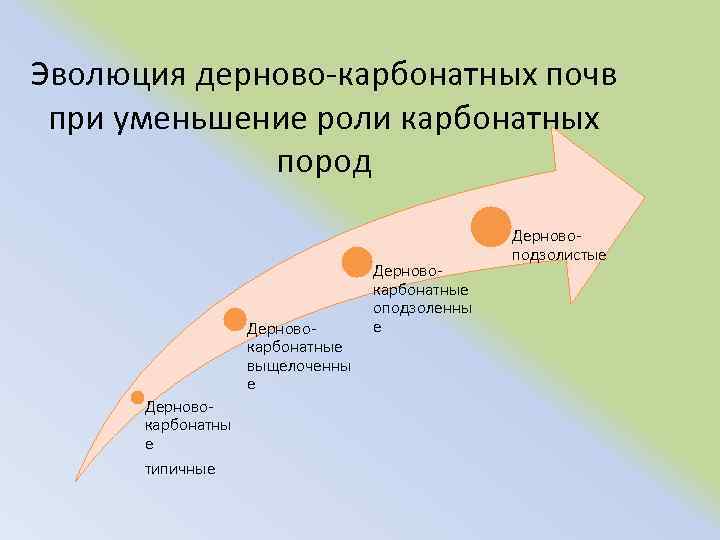 Эволюция дерново карбонатных почв при уменьшение роли карбонатных пород Дерново карбонатные выщелоченны е Дерново
