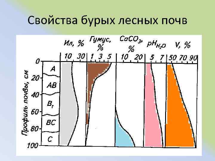 Свойства бурых лесных почв 
