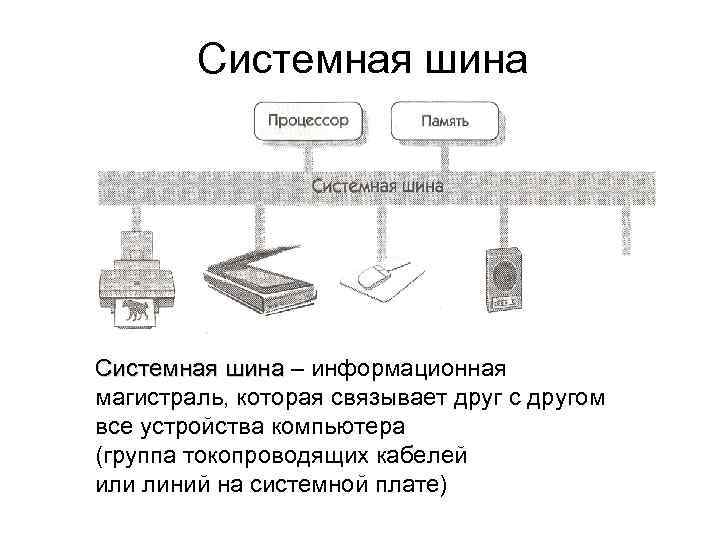 Системная шина – информационная магистраль, которая связывает друг с другом все устройства компьютера (группа