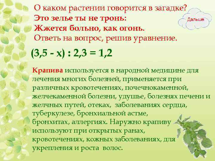О каком растении говорится в загадке? Это зелье ты не тронь: Жжется больно, как