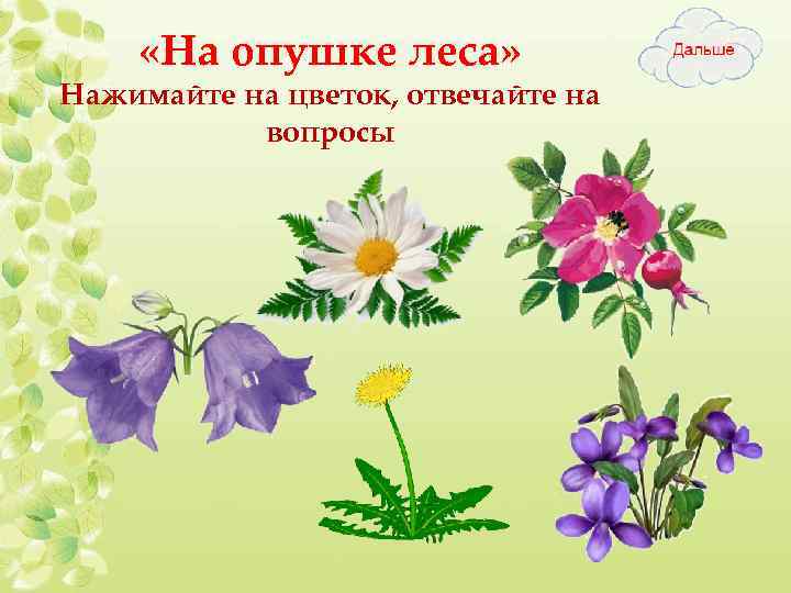  «На опушке леса» Нажимайте на цветок, отвечайте на вопросы 