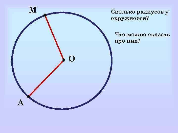 М Сколько радиусов у окружности? Что можно сказать про них? О А 