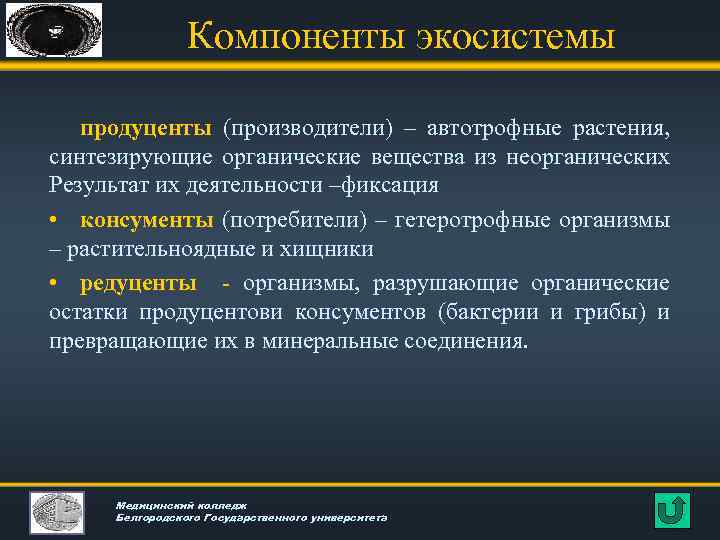 Компоненты экосистемы продуценты (производители) – автотрофные растения, синтезирующие органические вещества из неорганических Результат их