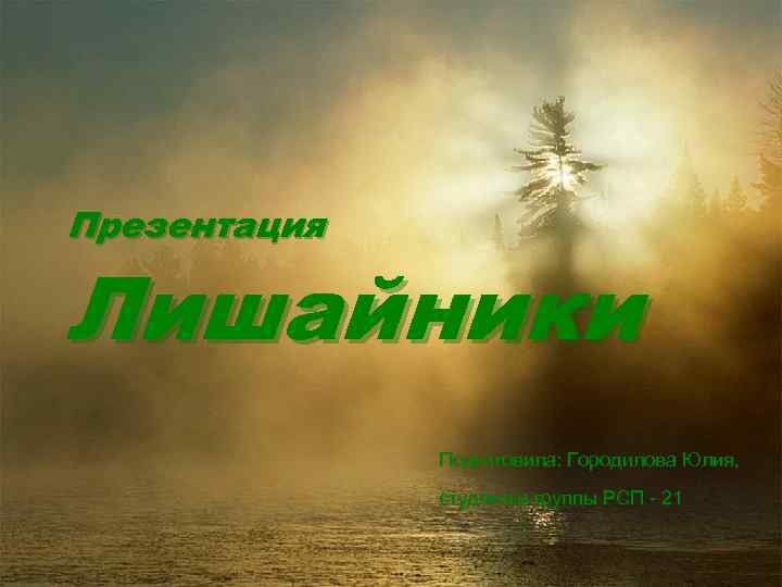 Презентация Лишайники Подготовила: Городилова Юлия, студентка группы РСП - 21 