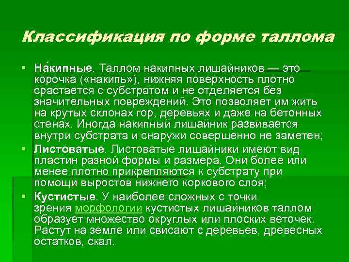 Классификация по форме таллома § На кипные. Таллом накипных лишайников — это корочка (