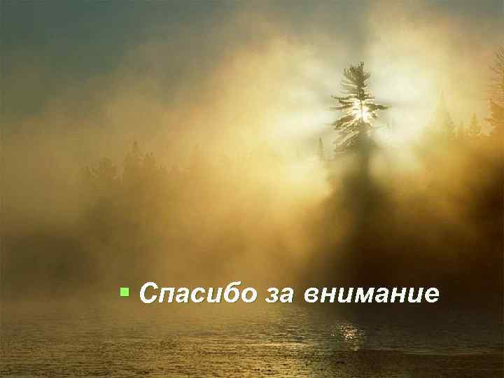§ Спасибо за внимание 