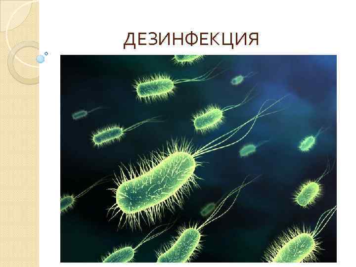 ДЕЗИНФЕКЦИЯ 