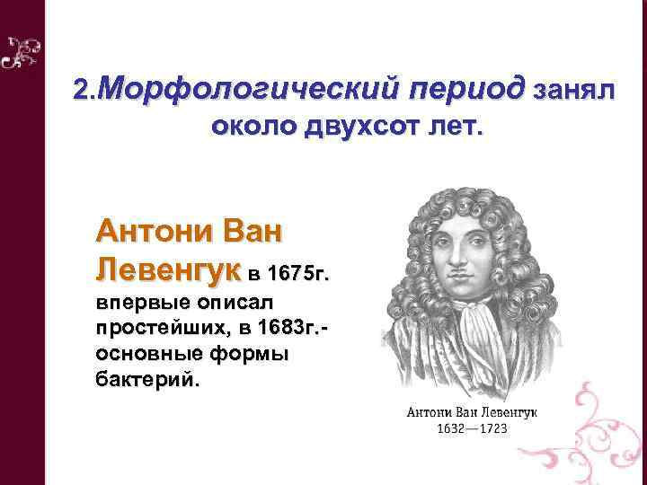 2. Морфологический период занял около двухсот лет. Антони Ван Левенгук в 1675 г. впервые