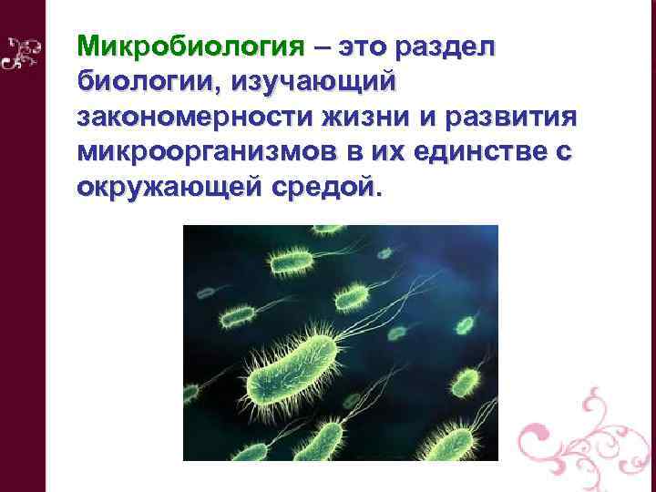 Микробиология – это раздел биологии, изучающий закономерности жизни и развития микроорганизмов в их единстве