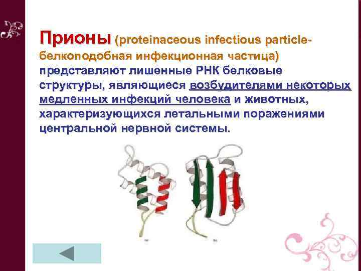 Прионы (proteinaceous infectious particleбелкоподобная инфекционная частица) представляют лишенные РНК белковые структуры, являющиеся возбудителями некоторых