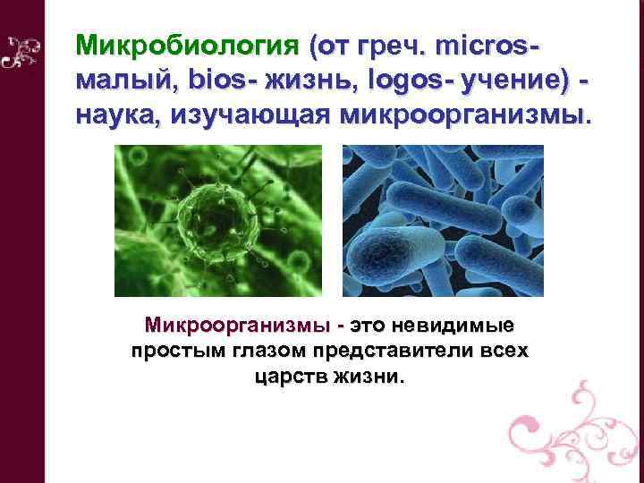 Микробиология (от греч. microsмалый, bios- жизнь, logos- учение) наука, изучающая микроорганизмы. Микроорганизмы - это