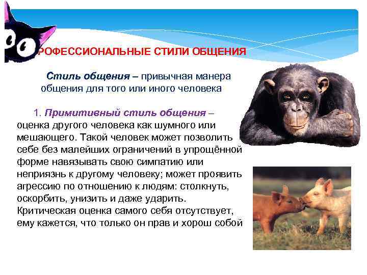 ПРОФЕССИОНАЛЬНЫЕ СТИЛИ ОБЩЕНИЯ Стиль общения – привычная манера общения для того или иного человека
