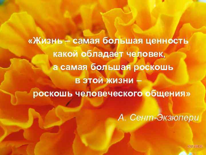  «Жизнь – самая большая ценность какой обладает человек, а самая большая роскошь в