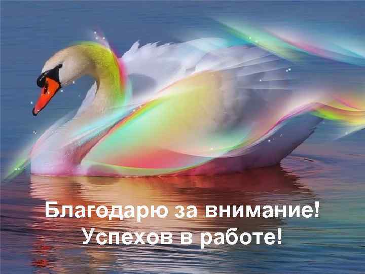  Благодарю за внимание! Успехов в работе! 
