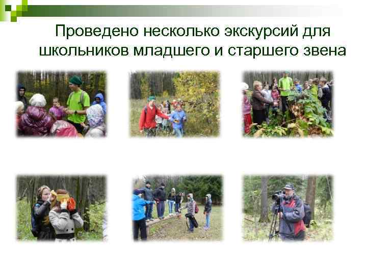 Проведено несколько экскурсий для школьников младшего и старшего звена 