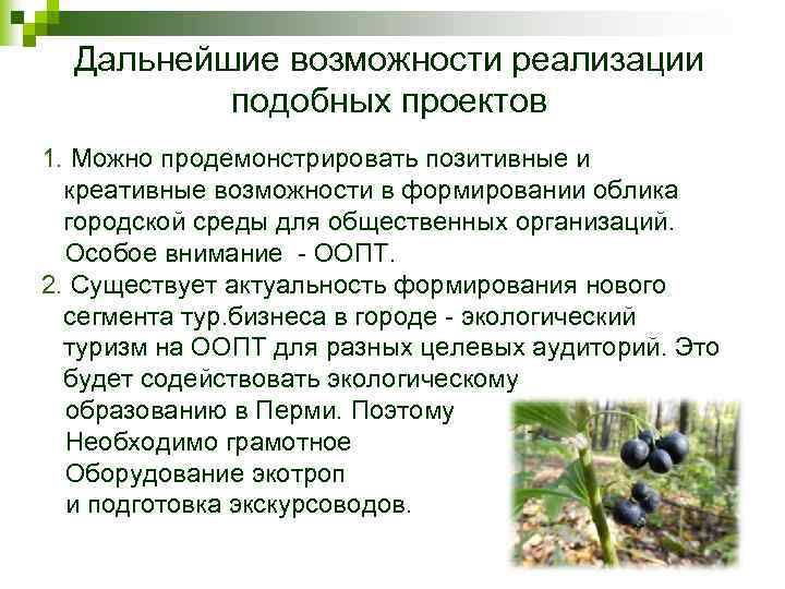 Дальнейшие возможности реализации подобных проектов 1. Можно продемонстрировать позитивные и креативные возможности в формировании