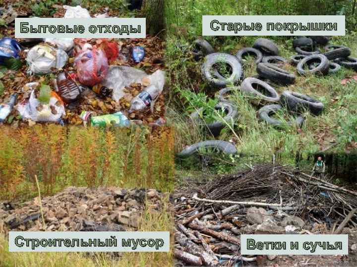 5 Бытовые отходы Строительный мусор Старые покрышки Ветки и сучья 