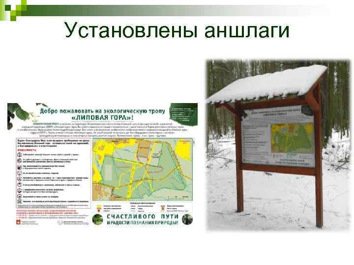 Установлены аншлаги 