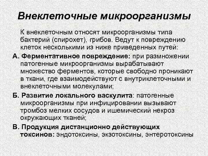 Внеклеточные микроорганизмы К внеклеточным относят микроорганизмы типа бактерий (спирохет), грибов. Ведут к повреждению клеток