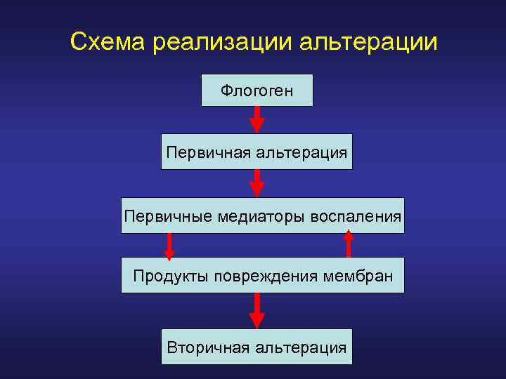 Схема реализации альтерации Флогоген Первичная альтерация Первичные медиаторы воспаления Продукты повреждения мембран Вторичная альтерация