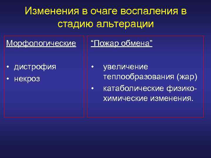 Изменения в очаге воспаления в стадию альтерации Морфологические “Пожар обмена” • дистрофия • некроз