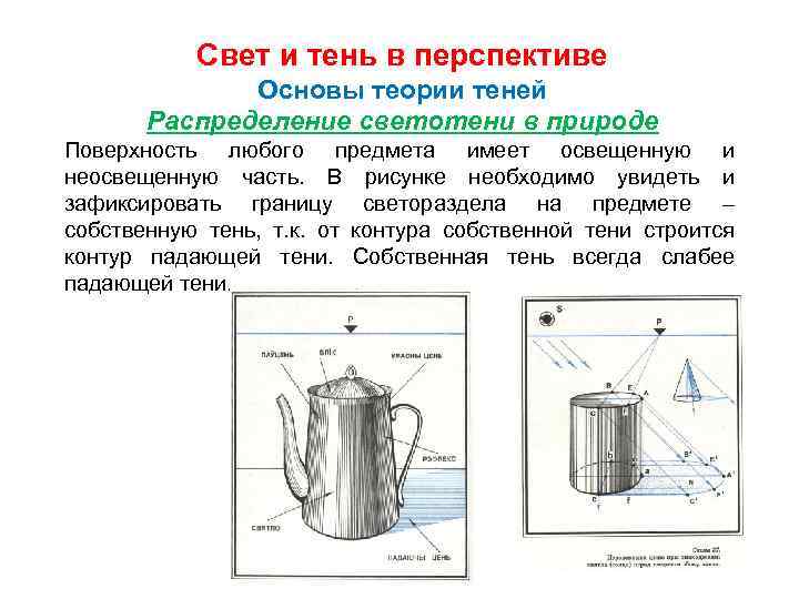 Свет и тень в перспективе Основы теории теней Распределение светотени в природе Поверхность любого
