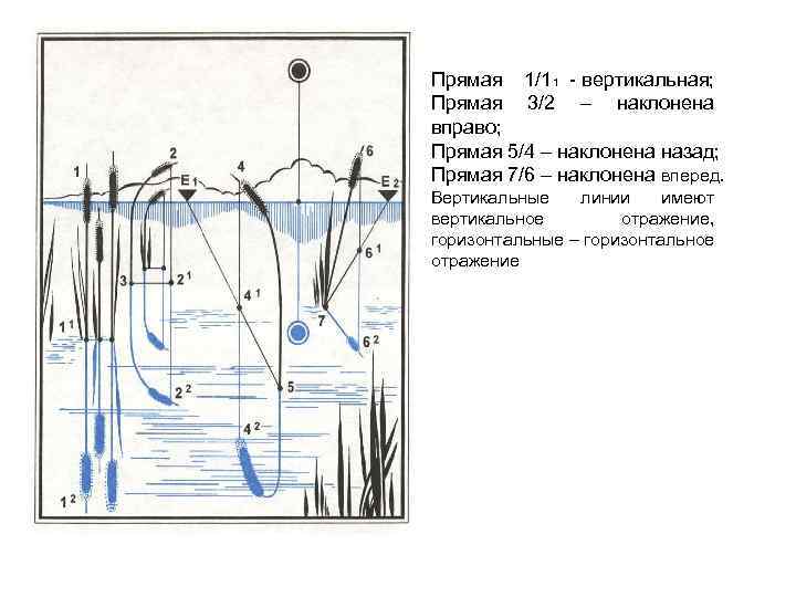Прямая 1/11 - вертикальная; Прямая 3/2 – наклонена вправо; Прямая 5/4 – наклонена назад;