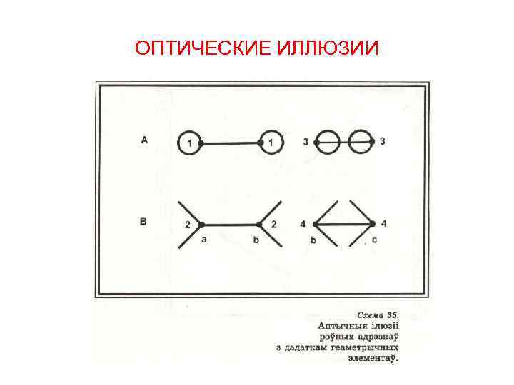 ОПТИЧЕСКИЕ ИЛЛЮЗИИ 