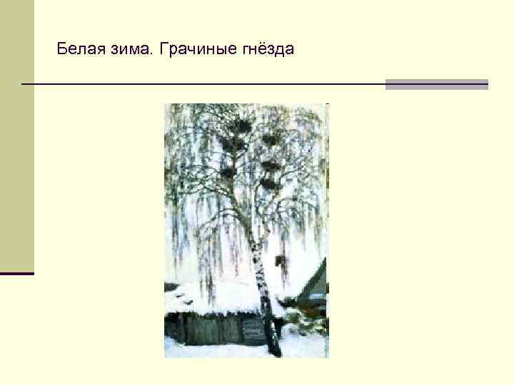 Белая зима. Грачиные гнёзда 