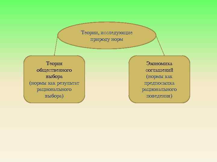 Теории, исследующие природу норм Теория общественного выбора (нормы как результат рационального выбора) Экономика соглашений