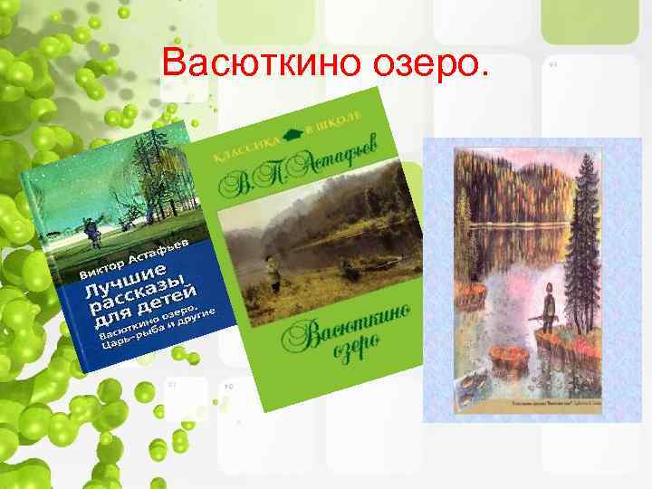 Васюткино озеро отзыв. Обложка книги Васюткино озеро. Отзыв Васюткино озеро.