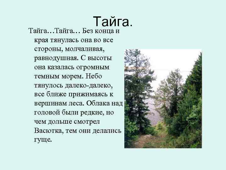 Тайга… Без конца и края тянулась она во все стороны, молчаливая, равнодушная. С высоты