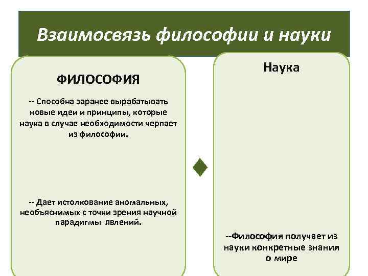 Общество с точки зрения философской науки проект