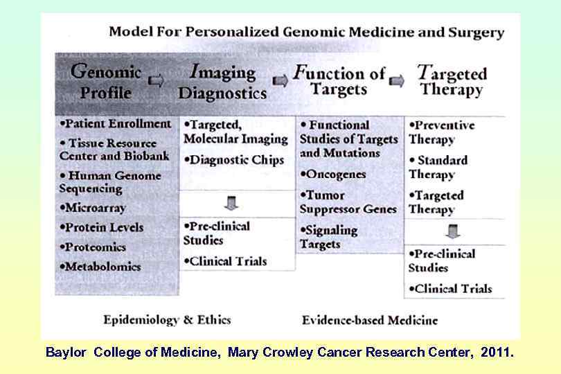 Baylor College of Medicine, Mary Crowley Cancer Research Center, 2011. 