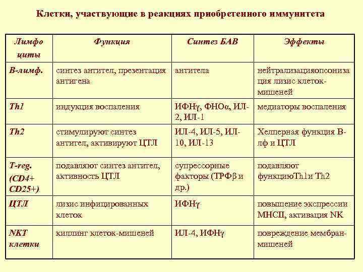  Клетки, участвующие в реакциях приобретенного иммунитета Лимфо Функция Синтез БАВ Эффекты циты В-лимф.