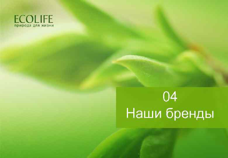 04 Наши бренды 