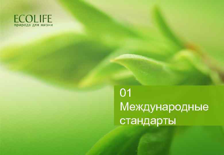 01 Международные стандарты 